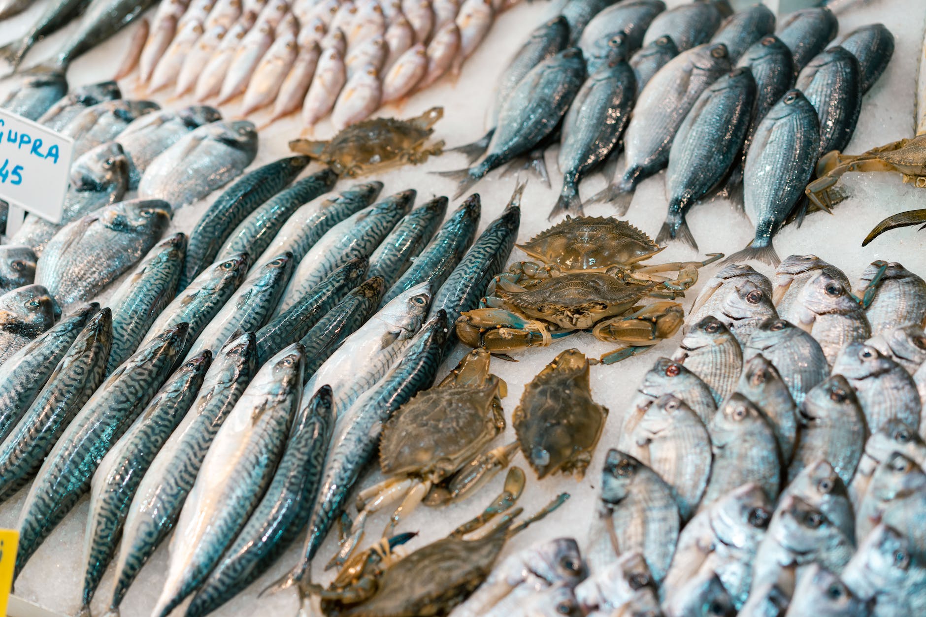 fishes and crabs on ice