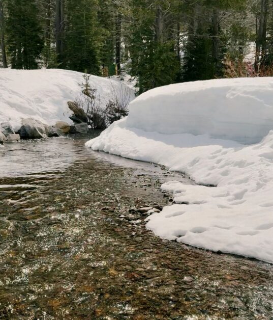 Shown is a creek surrounded by snow; traditional ecological knowledge is key for keeping waterways like this healthy.