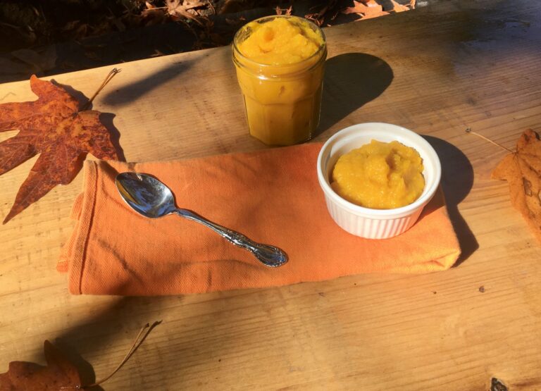 Homemade pumpkin puree in a jar and a ramekin.