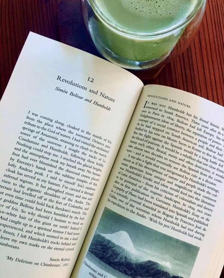 Open book about nature and sustainability with a cup of matcha above.