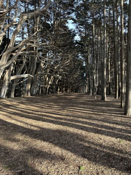Spending time in nature is a good way to help find purpose.