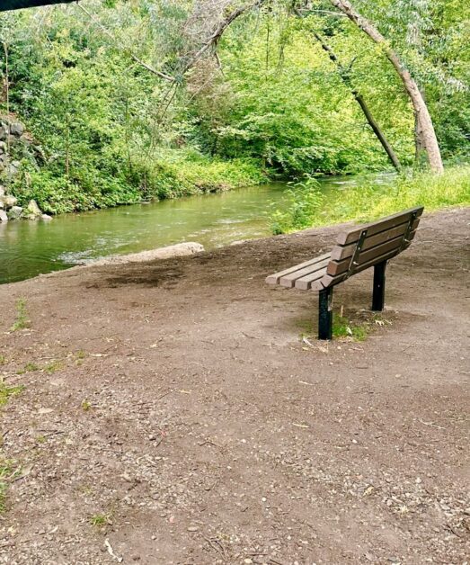 Pictured is a creek running through a park, a big reason why biodegradable products are important.