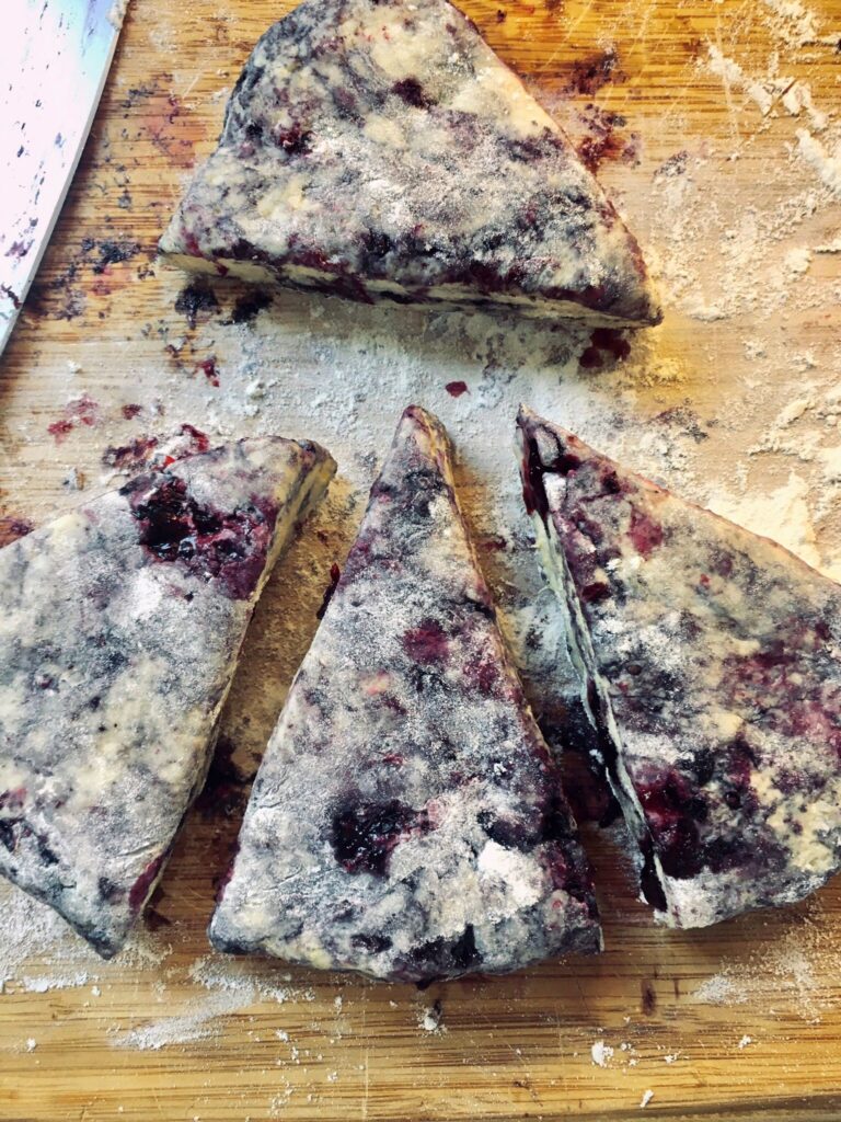 ginger and blackberry scones before baking, recipe from digestiblesustainability.com